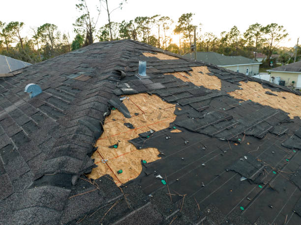 Fast & Reliable Emergency Roof Repairs in Tarkio, MO