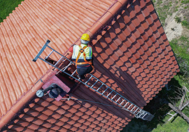 Best Roof Inspection  in Tarkio, MO