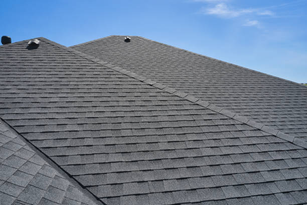 Roof Moss and Algae Removal in Tarkio, MO