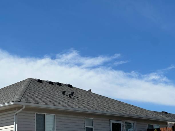 Best Solar Panel Roofing Installation  in Tarkio, MO